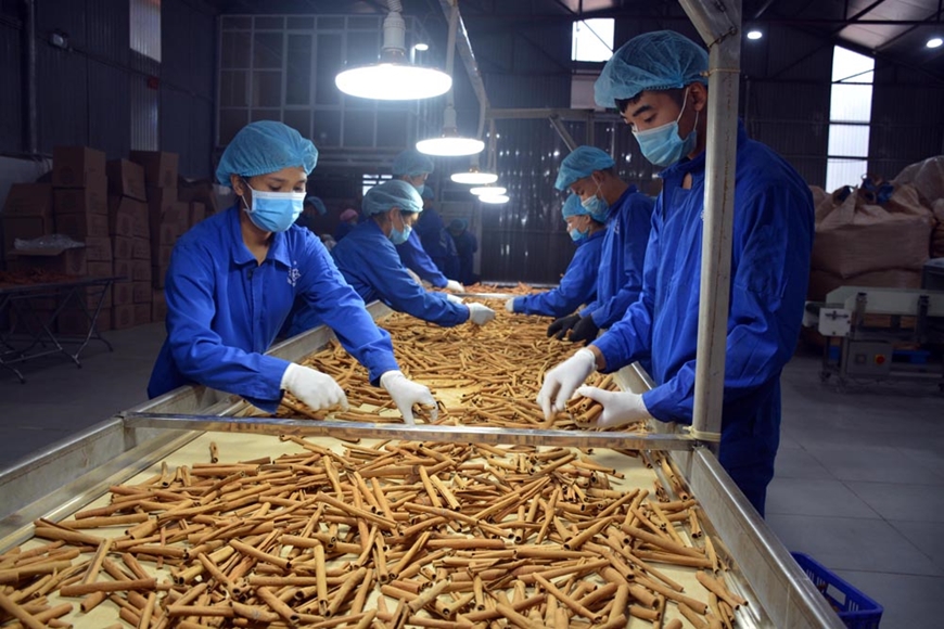 Tăng sức khắc phục khó khăn từ xung đột thương mại